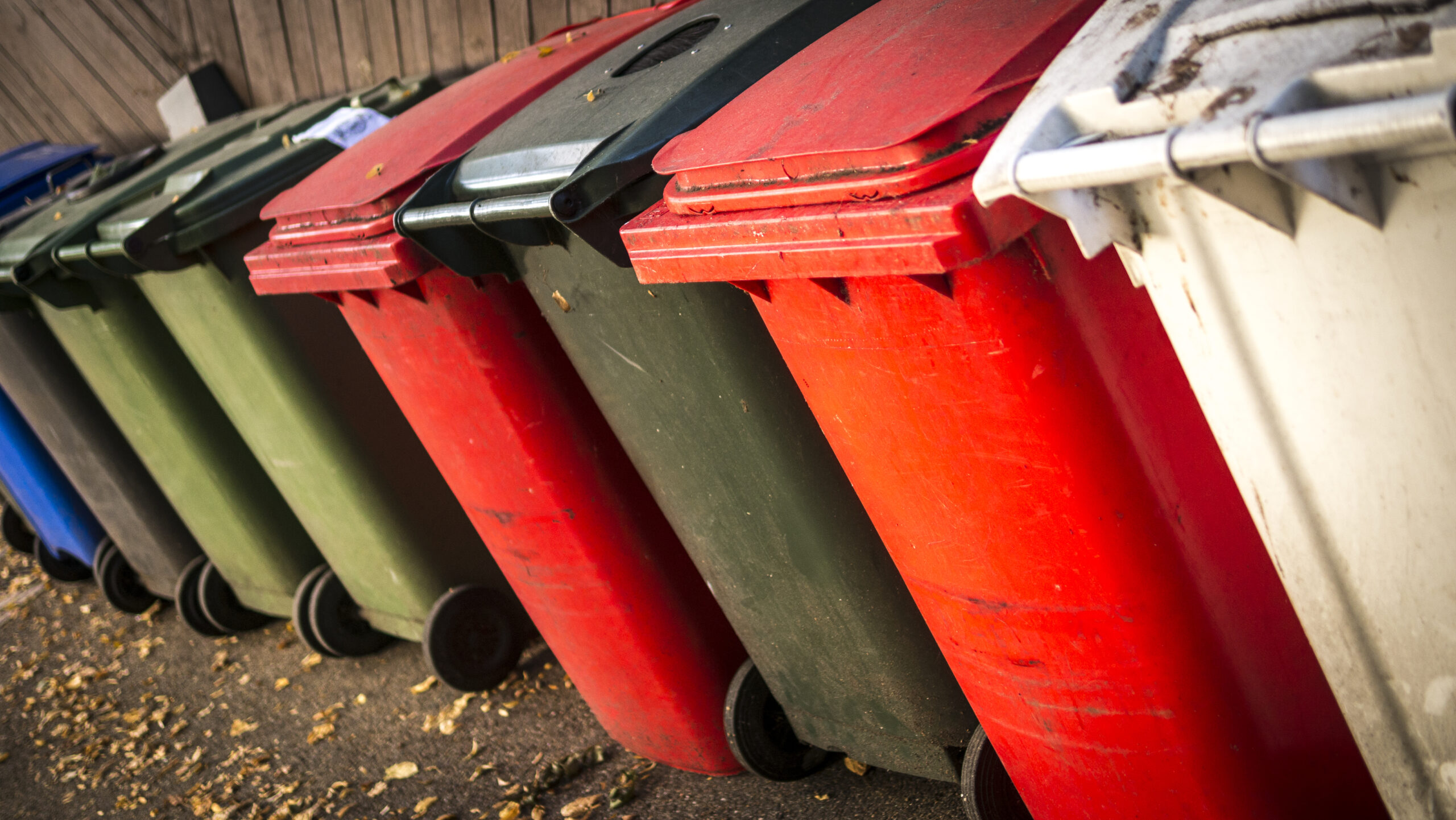 Wheelie,recycling,bins